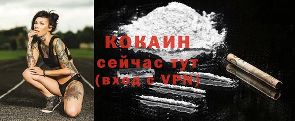 СК Инта