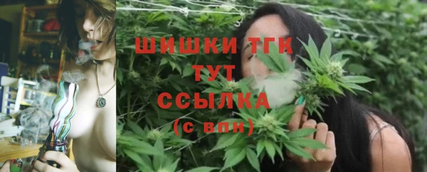 СК Инта
